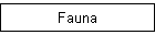 Fauna