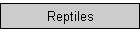 Reptiles